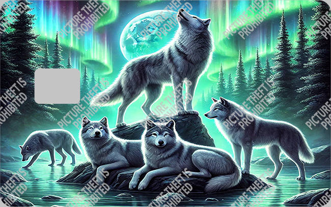 Bank  Card Sticker-BC-2955